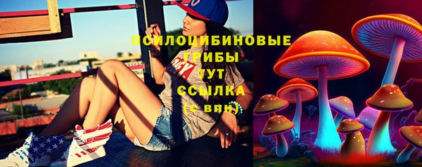 мдпв Пересвет